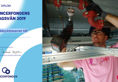 Läs mer om artikeln BST stödjer Cancerfonden