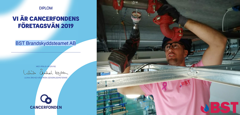 Du visar för närvarande BST stödjer Cancerfonden