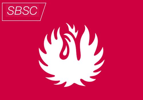 Läs mer om artikeln Certifierad anläggarfirma Gassläcksystem