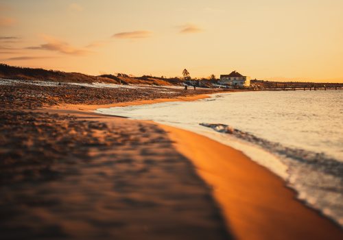 Läs mer om artikeln Glad sommar!